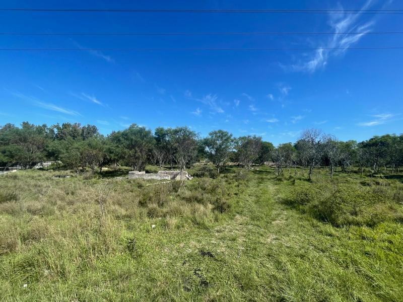 0 Bedroom Property for Sale in Greenbushes Eastern Cape